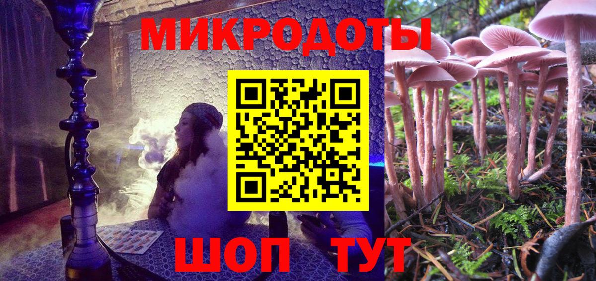 Псилоцибиновые грибы Cubensis Новошахтинск